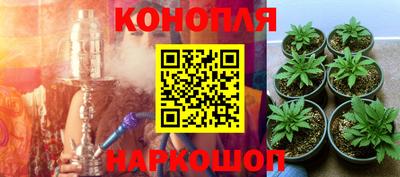 ALPHA PVP Обнинск