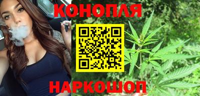 СК Обь